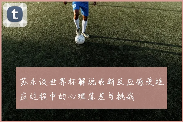 苏东谈世界杯解说戒断反应感受适应过程中的心理落差与挑战